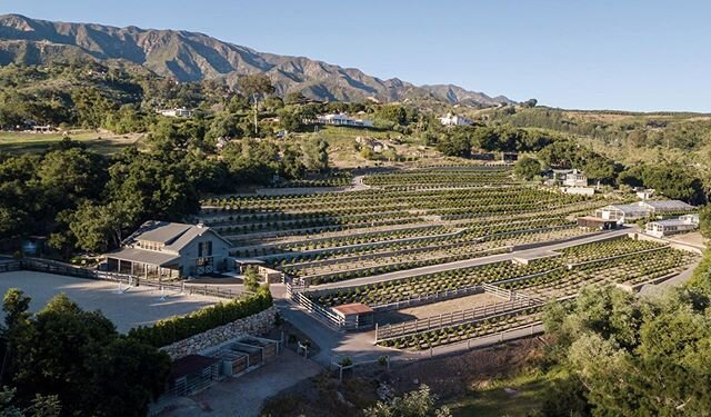 Lay of the land at #valleyheartranch.  Thank you for the magnificent photo @mr_bruce - #terraced #coffeefarm #composte #arena #barn #agriculture #greenhouse #805 #californiacoffee ☕️ 🍒 🐴 #nationalsoilhealthday