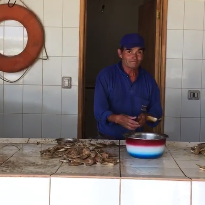 Rhythms: Chile