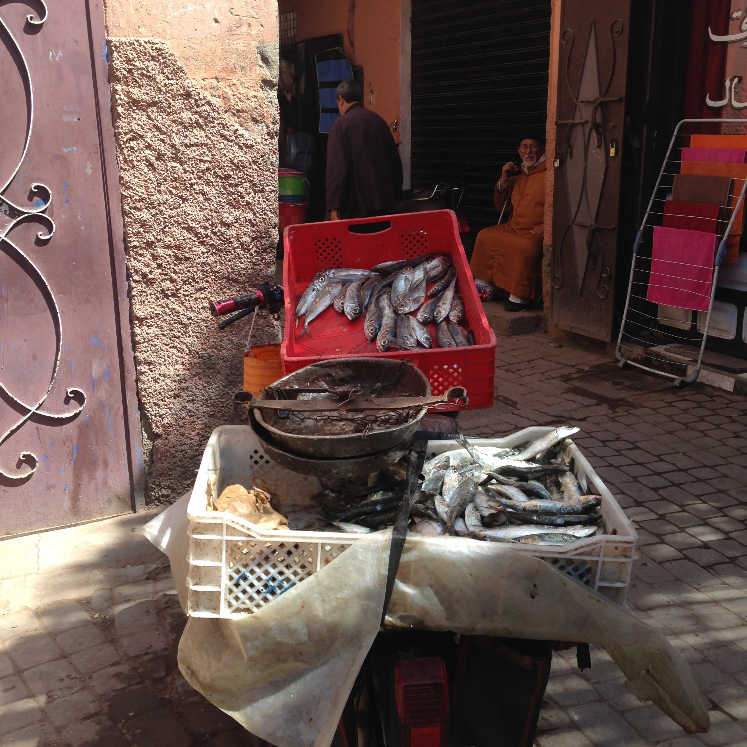 Marrakesh Marrakesh talin spring spring finn and co travels