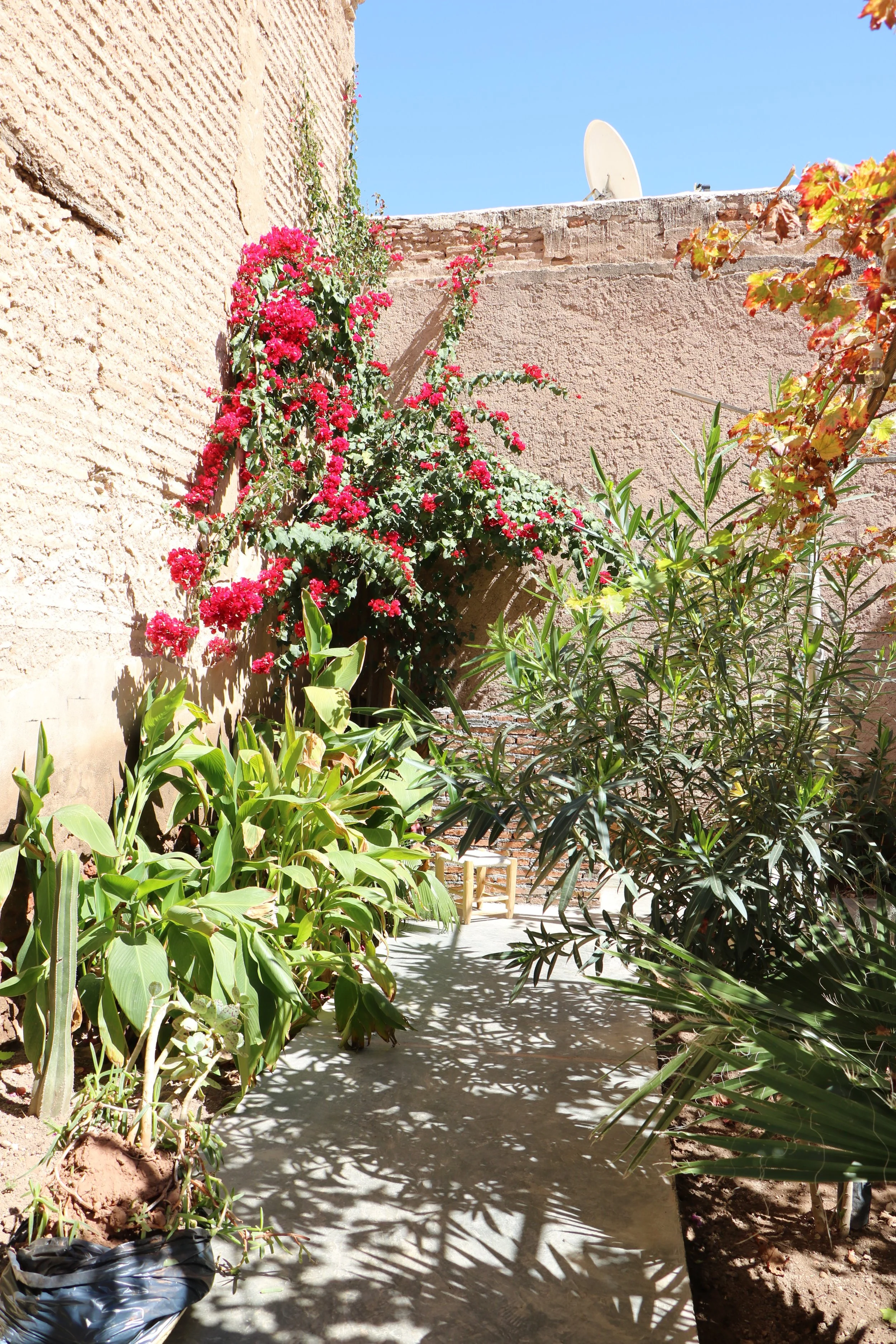 La Famille Marrakesh