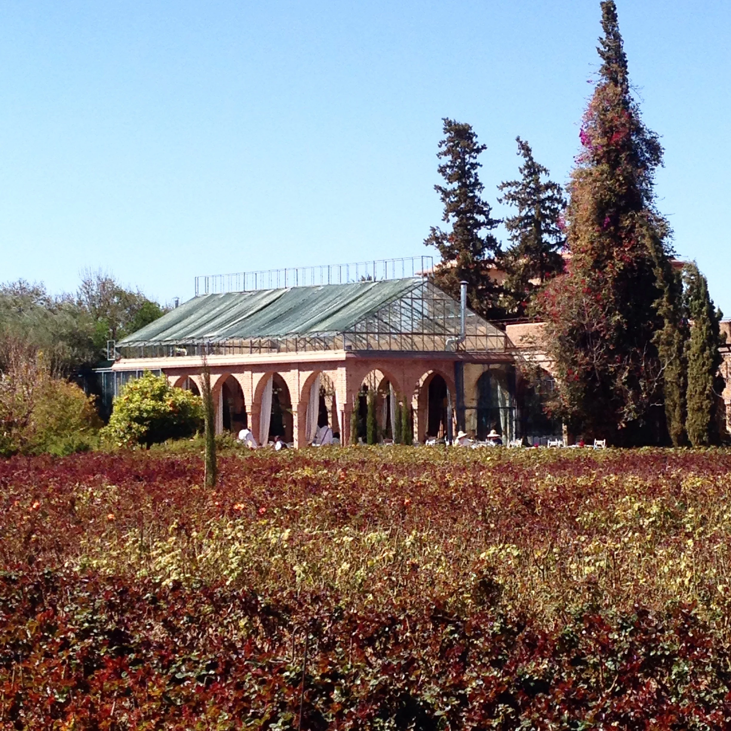 Beldi Country Club Marrakesh talin spring spring finn and co travels beldi coutry club