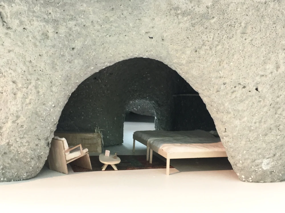 junyo ishigami fondation cartier springfinnandco