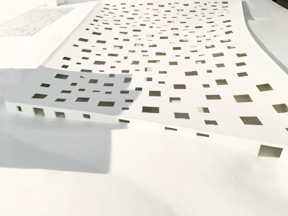 junyo ishigami fondation cartier springfinnandco