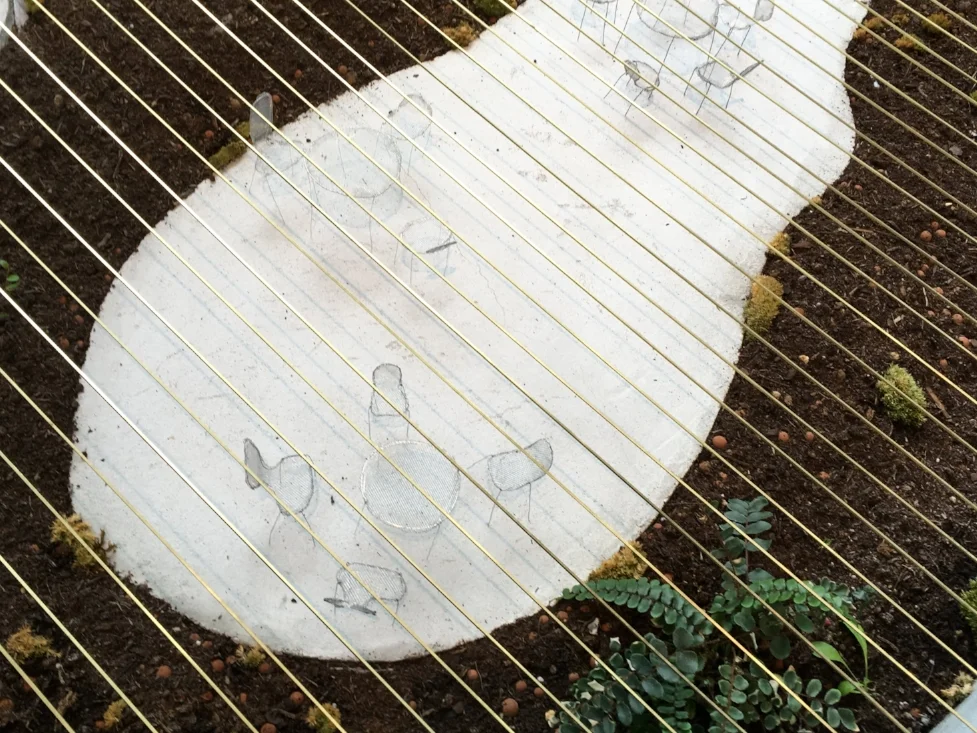 junya ishigami spring finn and co fondation cartier botanical farm