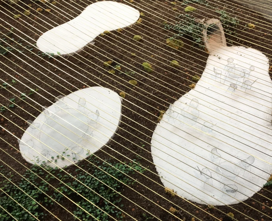 junya ishigami spring finn and co fondation cartier botanical farm