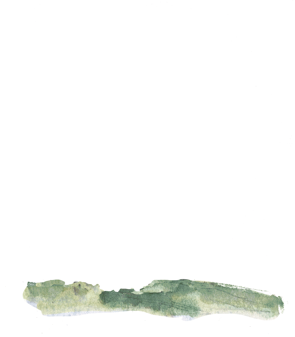 CURIOSITY INDEX NO.8 WHAT ABOUT ROOTS?