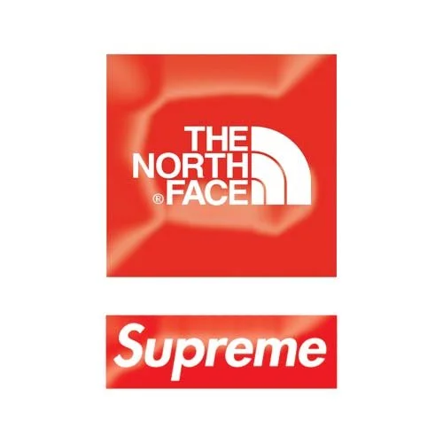 SUPREME_TNF_WEB_LOGO.jpg