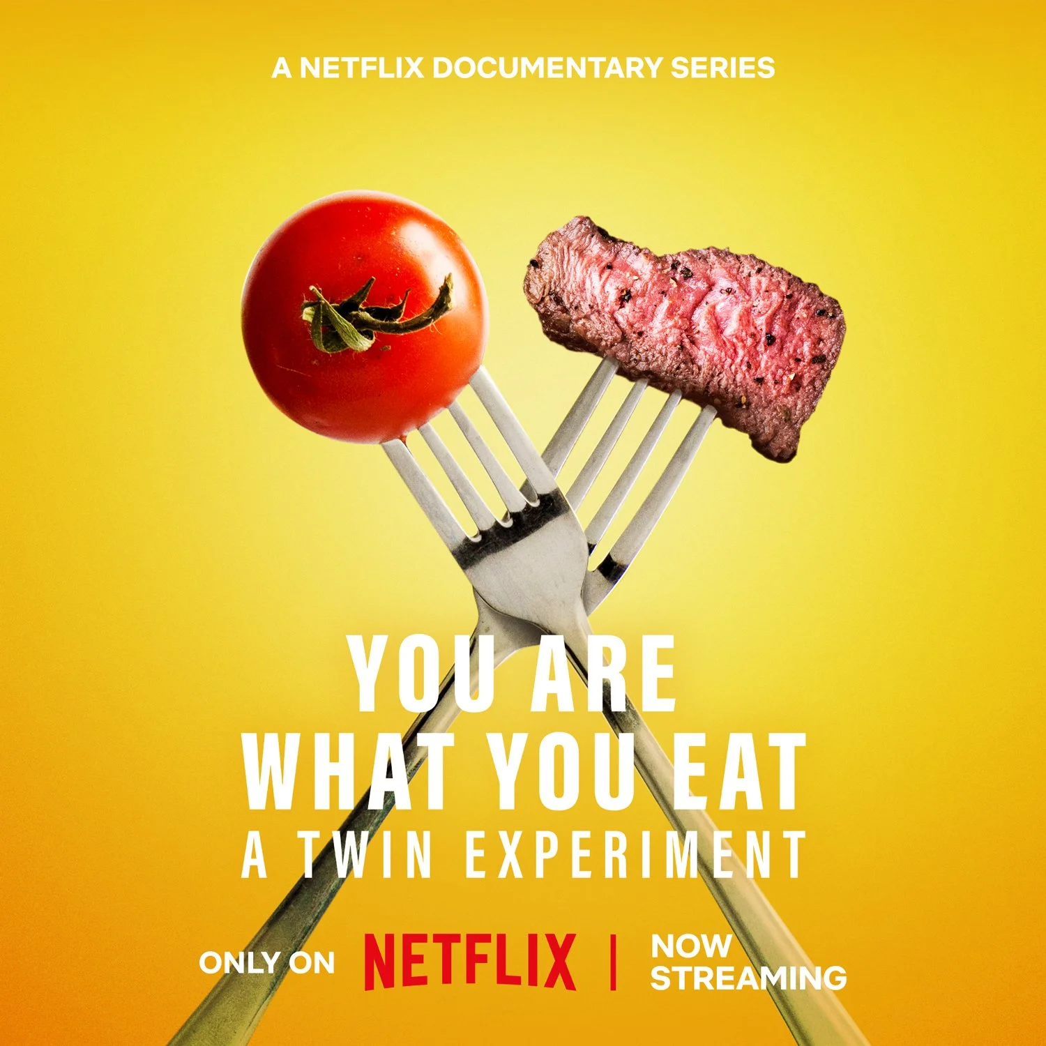 You Are What You Eat: A Twin Experiment (2024)