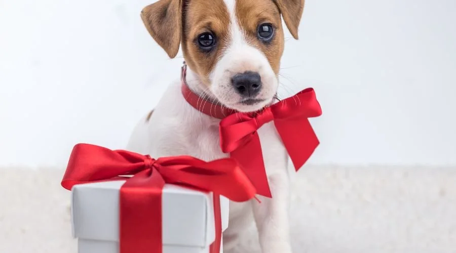 This is How God’s presence is better than presents