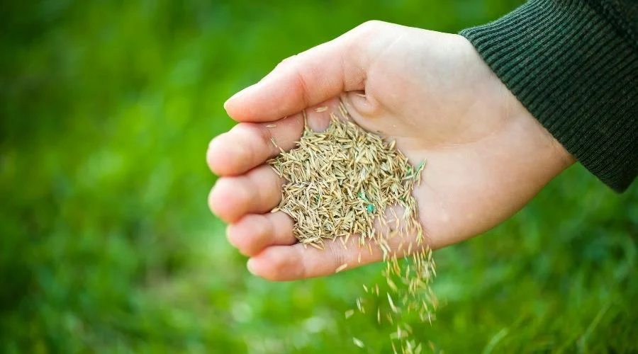 How to receive any promise God has sent”