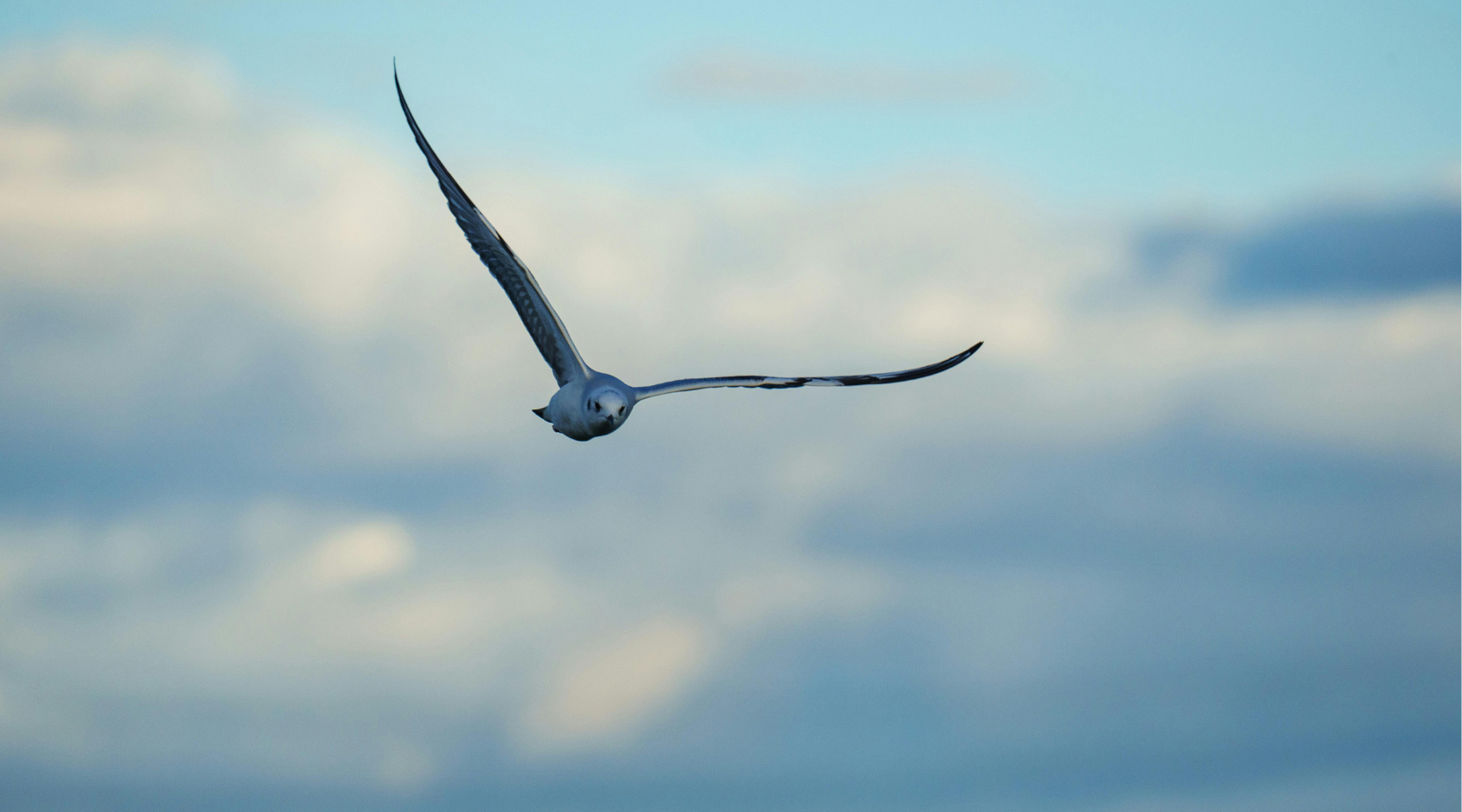 5 Enormous Ways That GRACE Makes A Total Difference