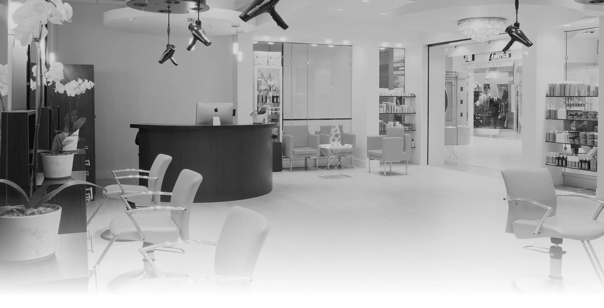 Tricho Salon Professional Hair Salon And Spa