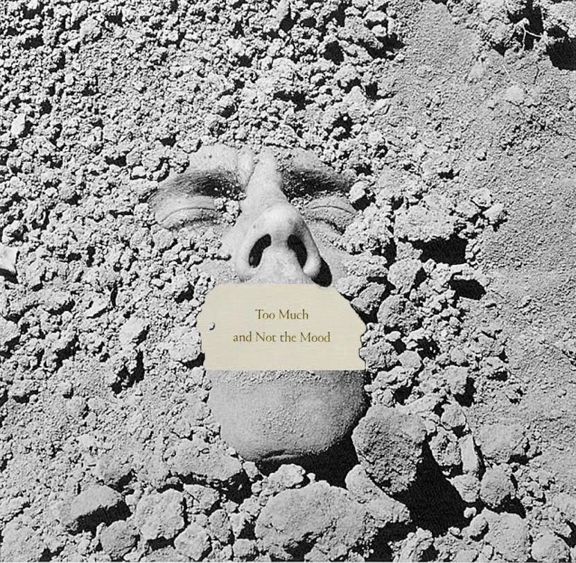 too much David Wojnraovic "Face in Dirt" & Durga Chew-Bose "Too Much and Not The Mood" images Archival Digital Print. 2018 1:1