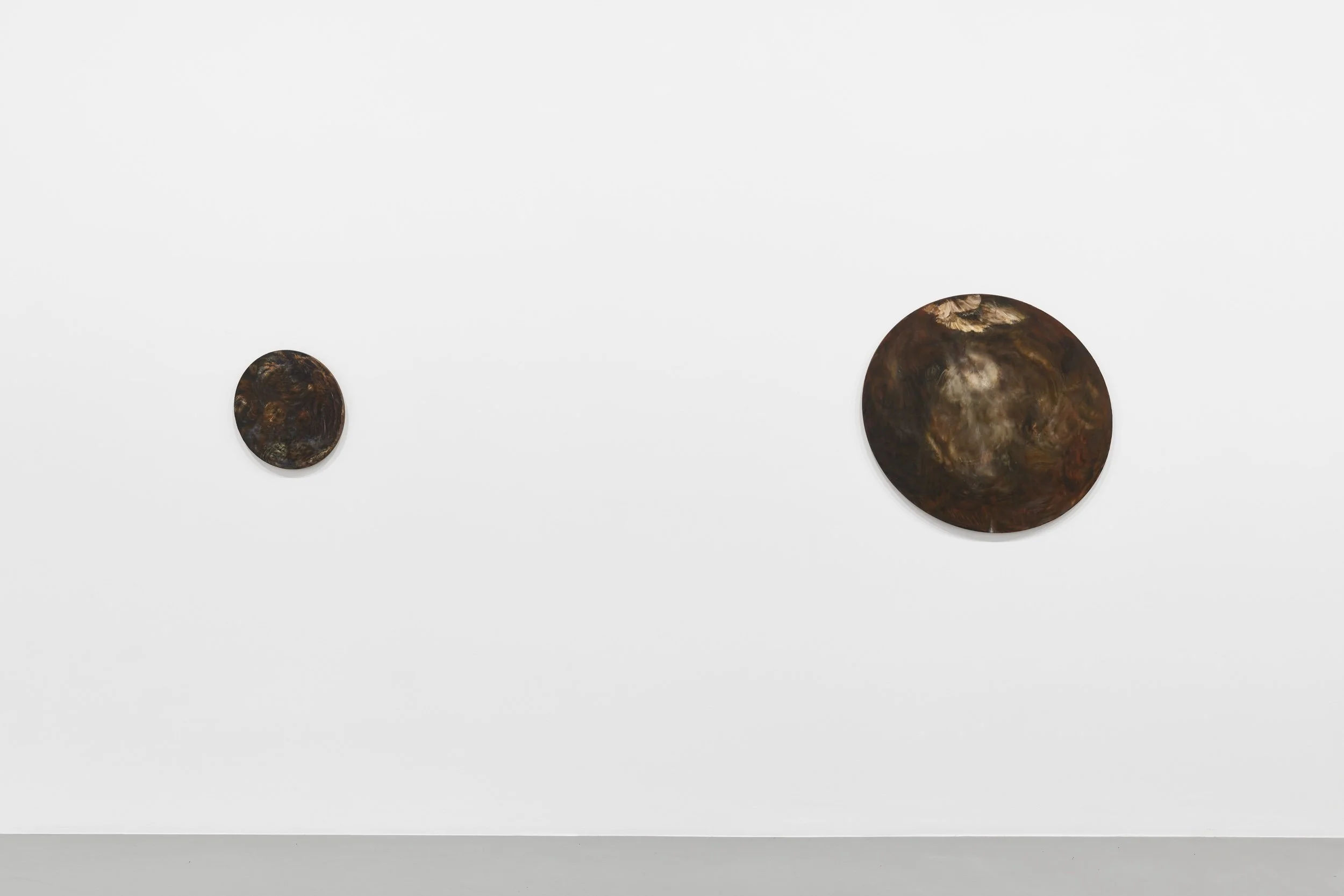  Installation View ( in courtesy of the artist &amp; Galerie Max Hetzler) 