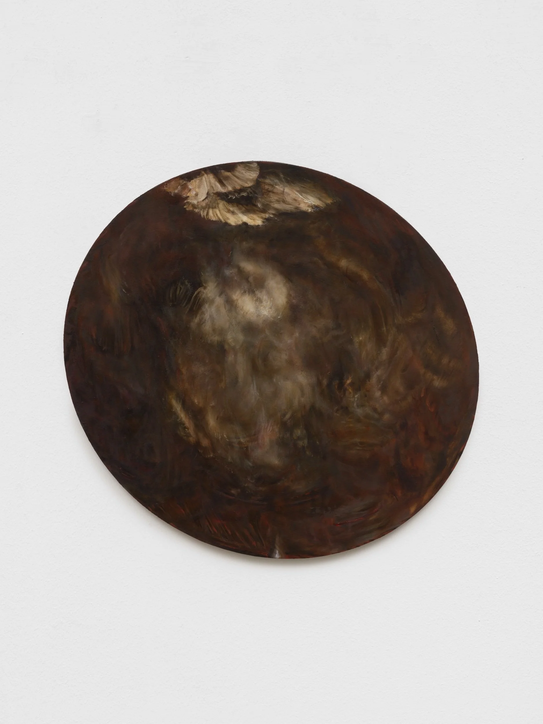   Arlecchino B-side /  Oil on Canvas / 84cm x77.5cm  Photo Credit: Wonderful Roman März 