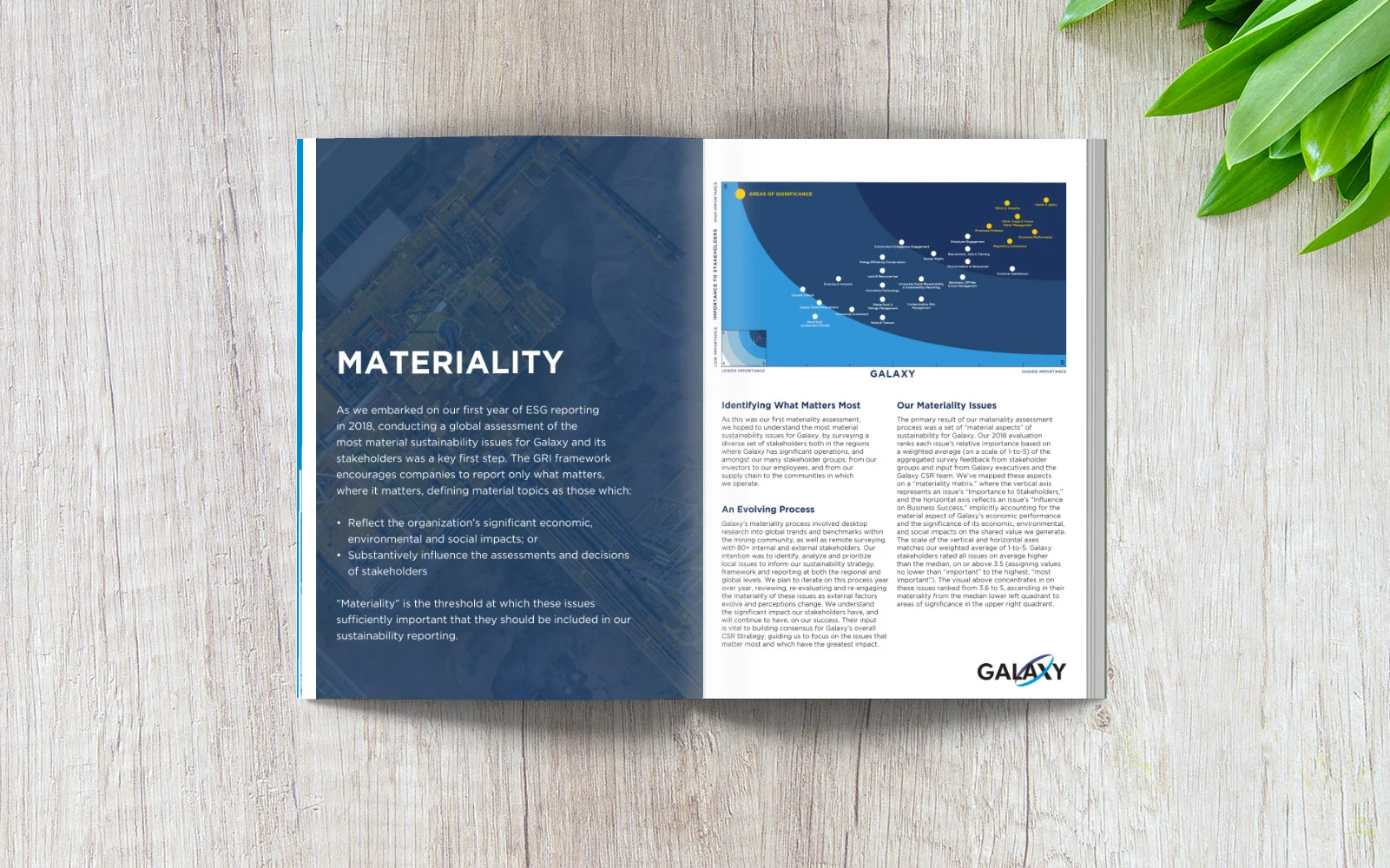 CSR Report Example