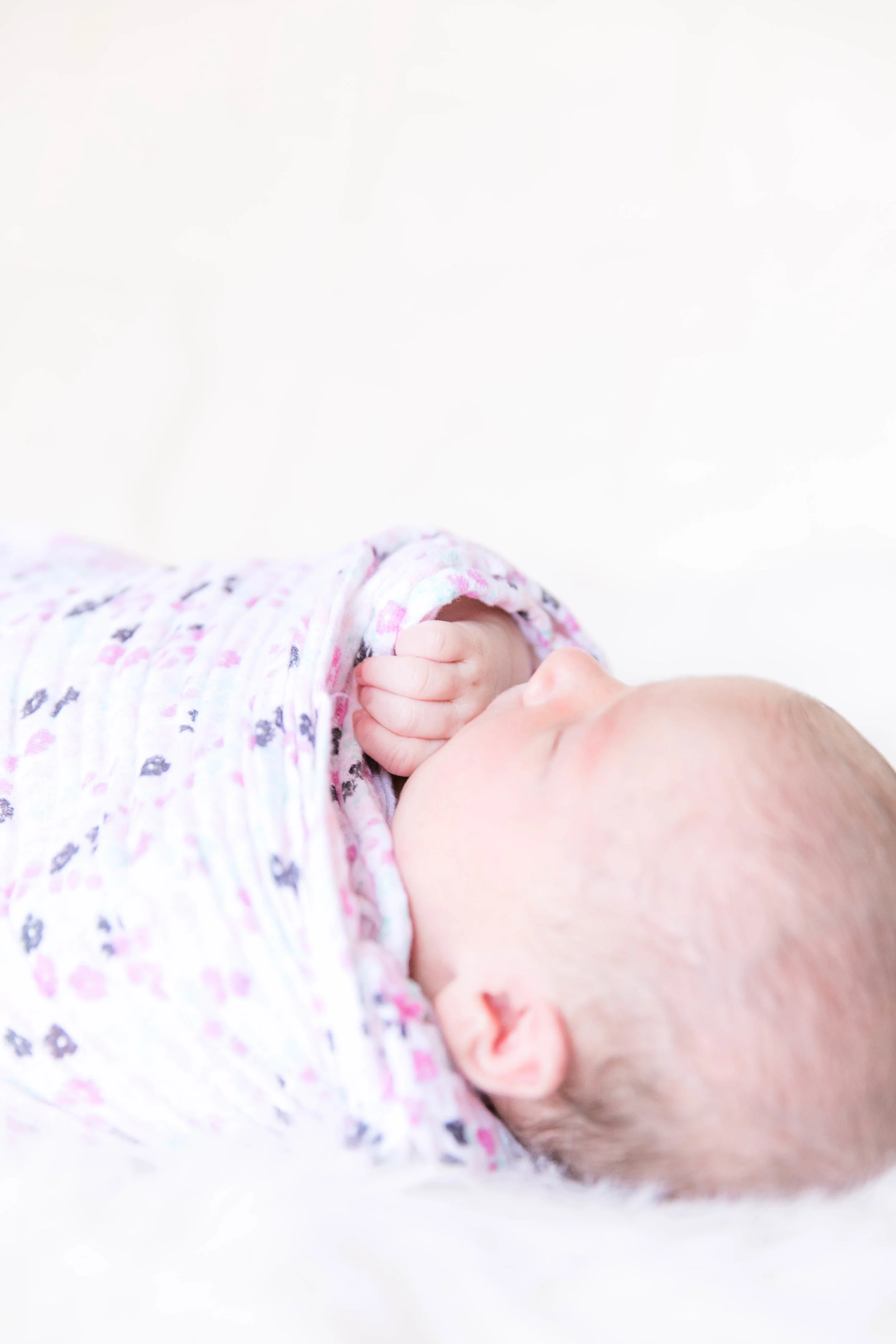 Johnson City newborn photography, Tri Cities photographer, East Tennessee photography, sibling photos, styled newborn session, rose petal photos