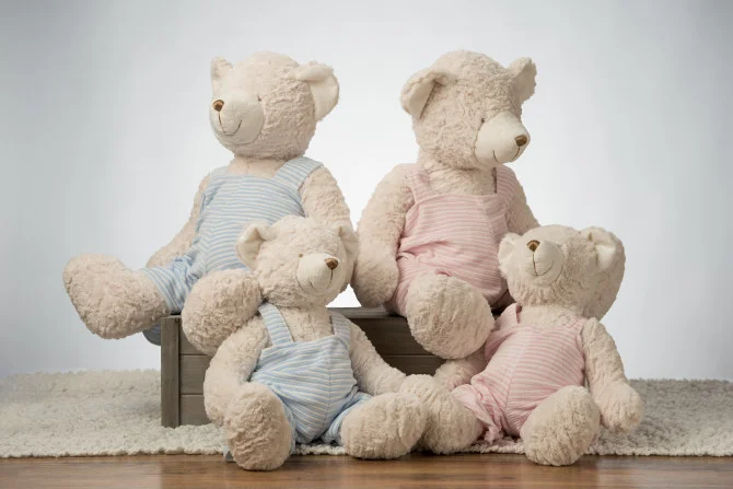 beargroup_l.jpg
