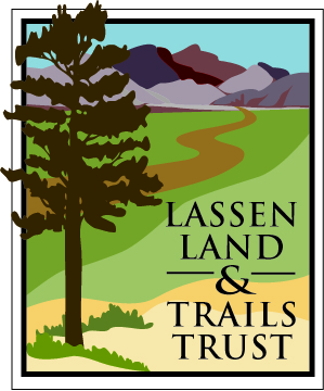LLTT Logo.jpg
