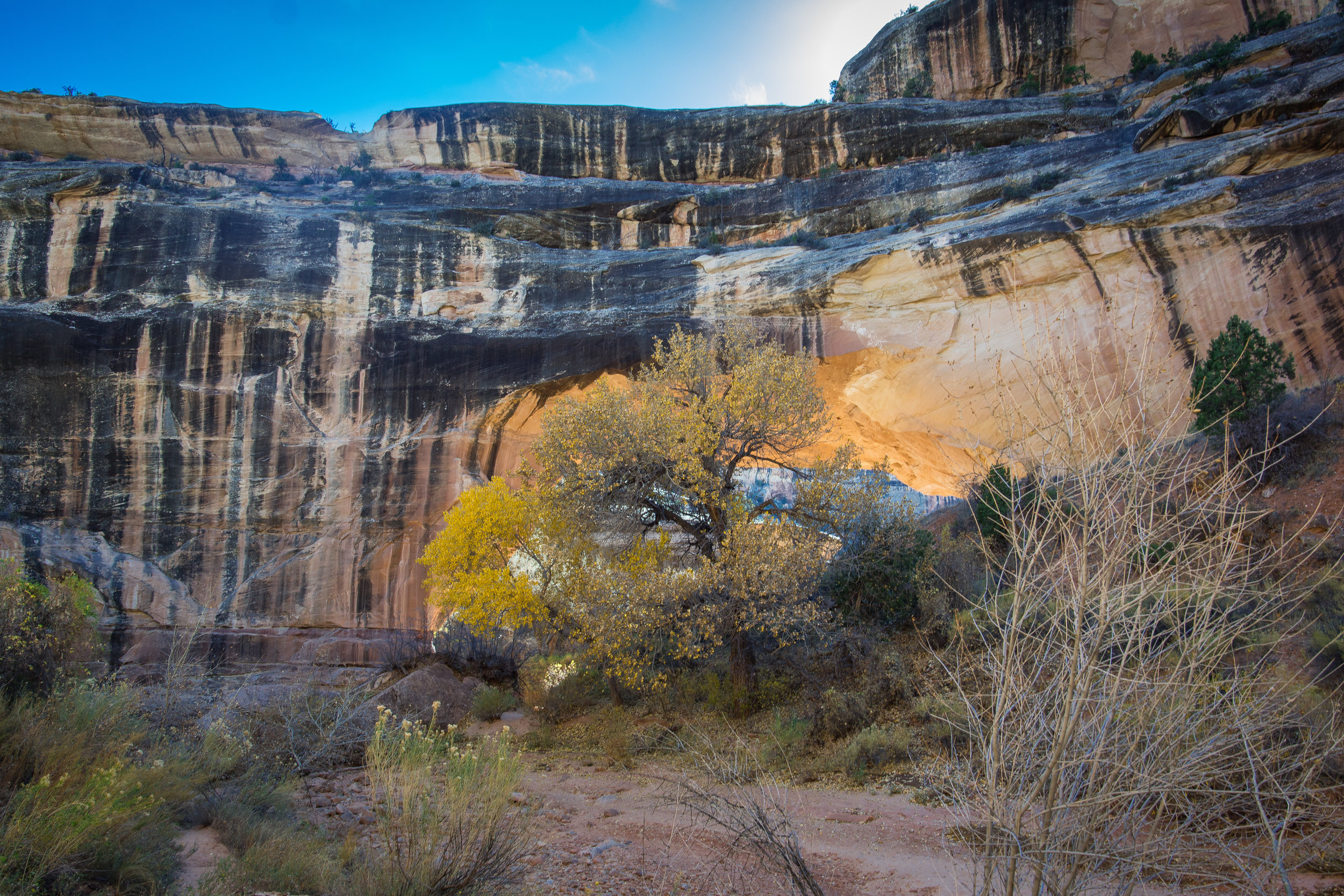 Kachina Bridge