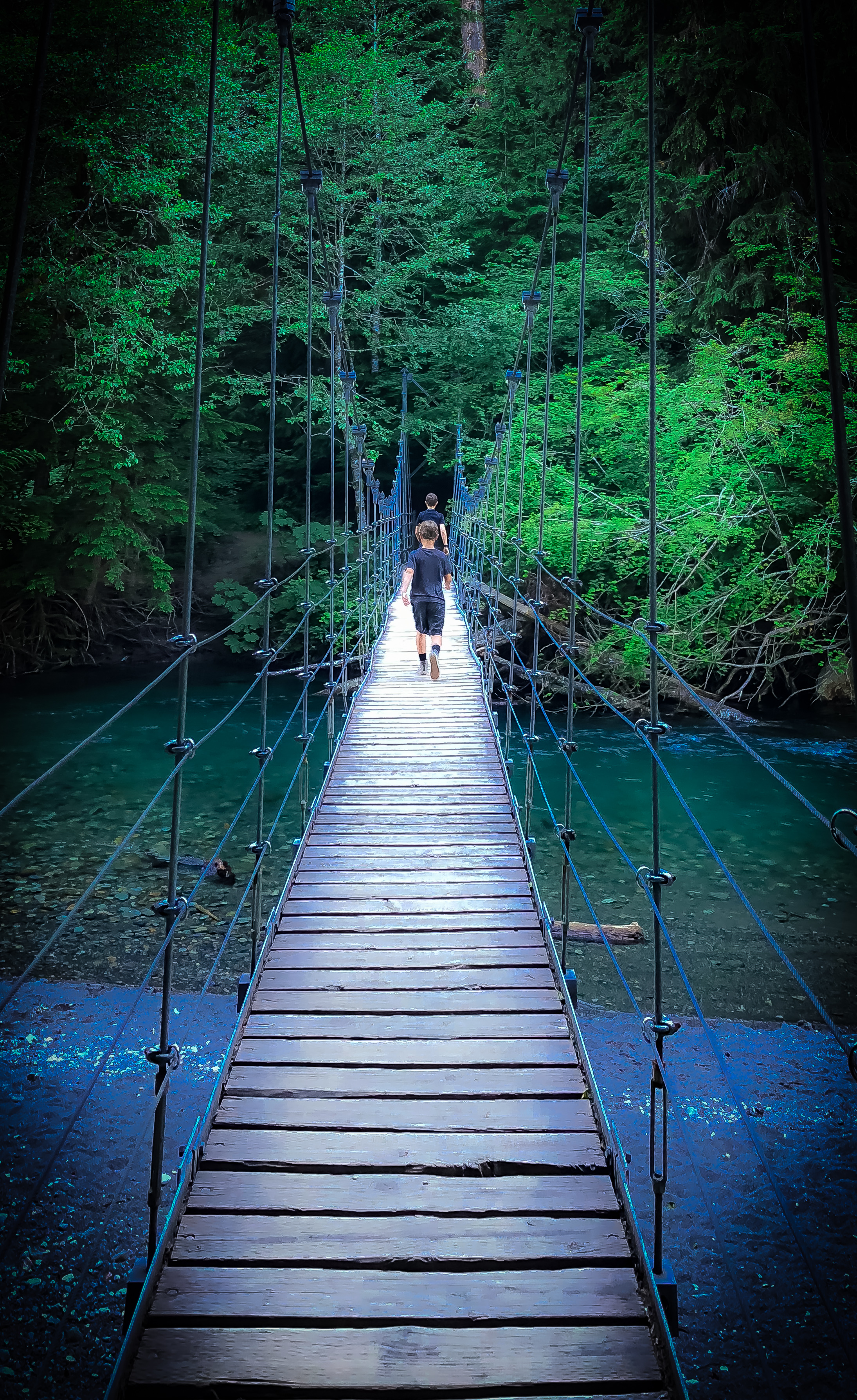 Suspension Bridge / Patriarch Grove / Mt. Rainier