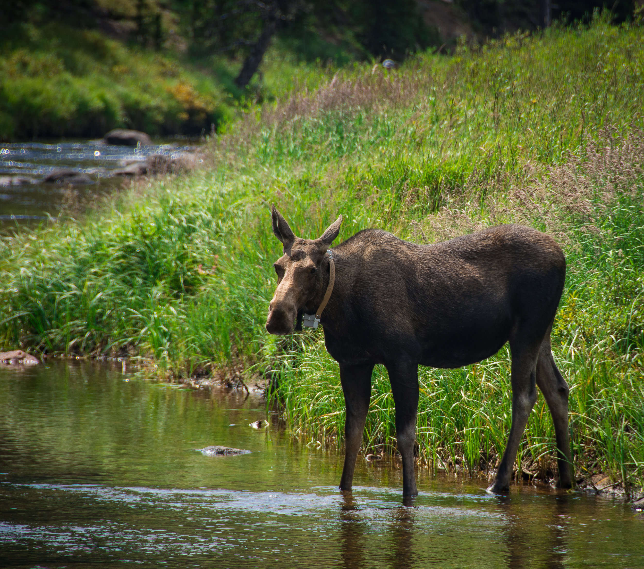 DSC_0775.jpg