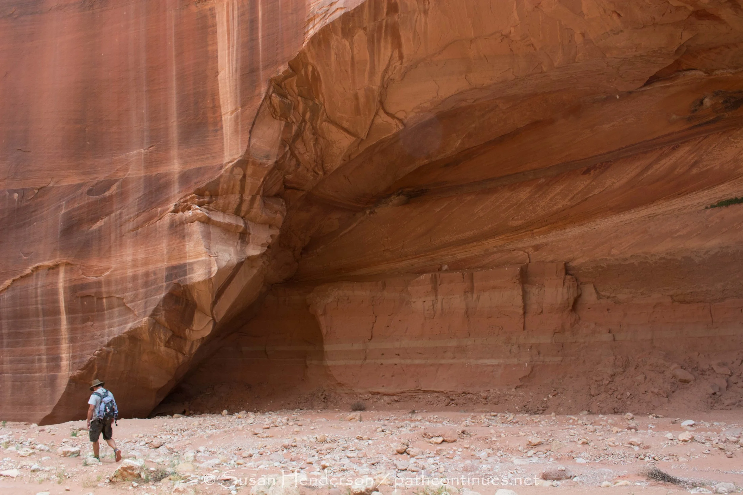 DSC_0267.jpg
