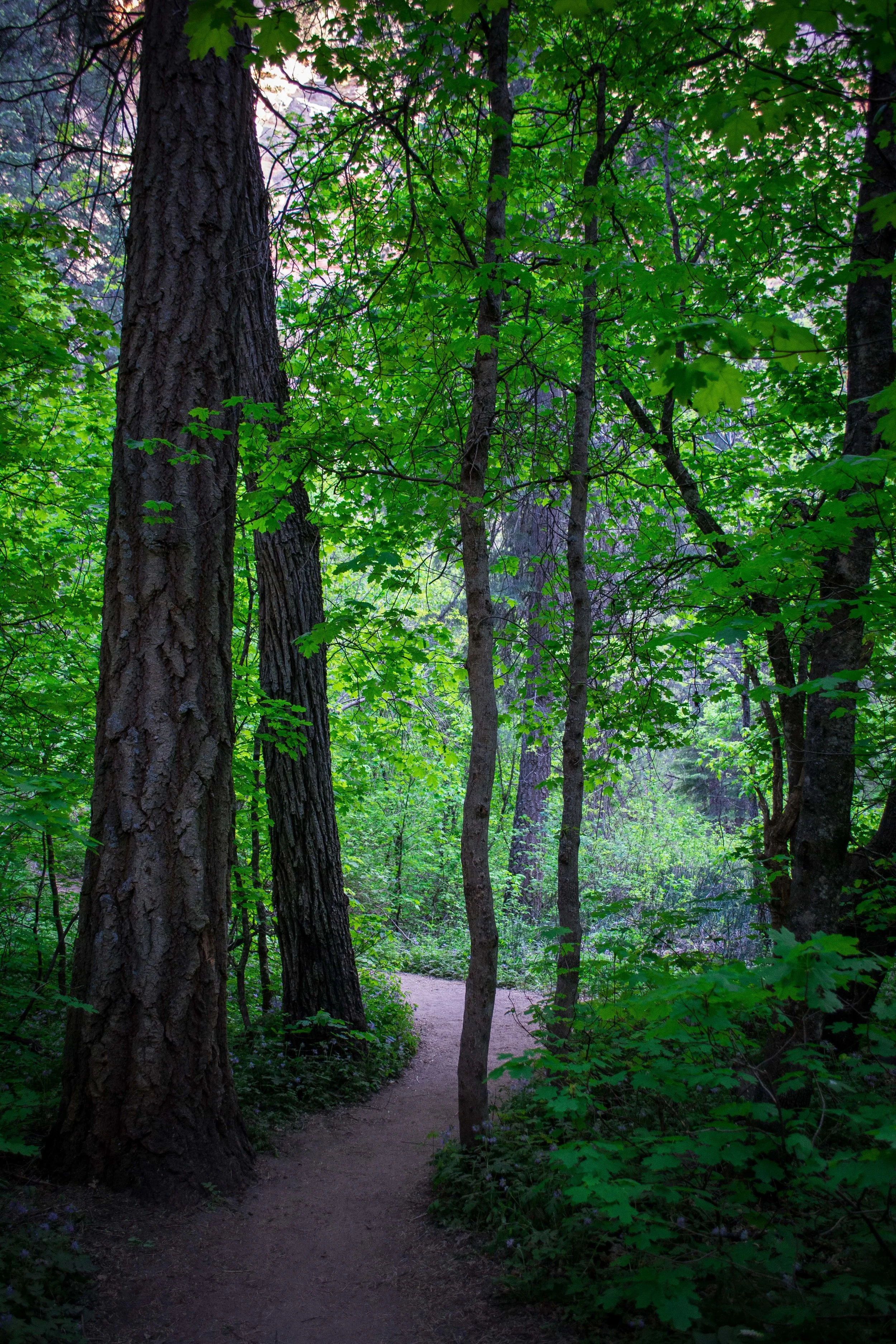 DSC_0206.jpg
