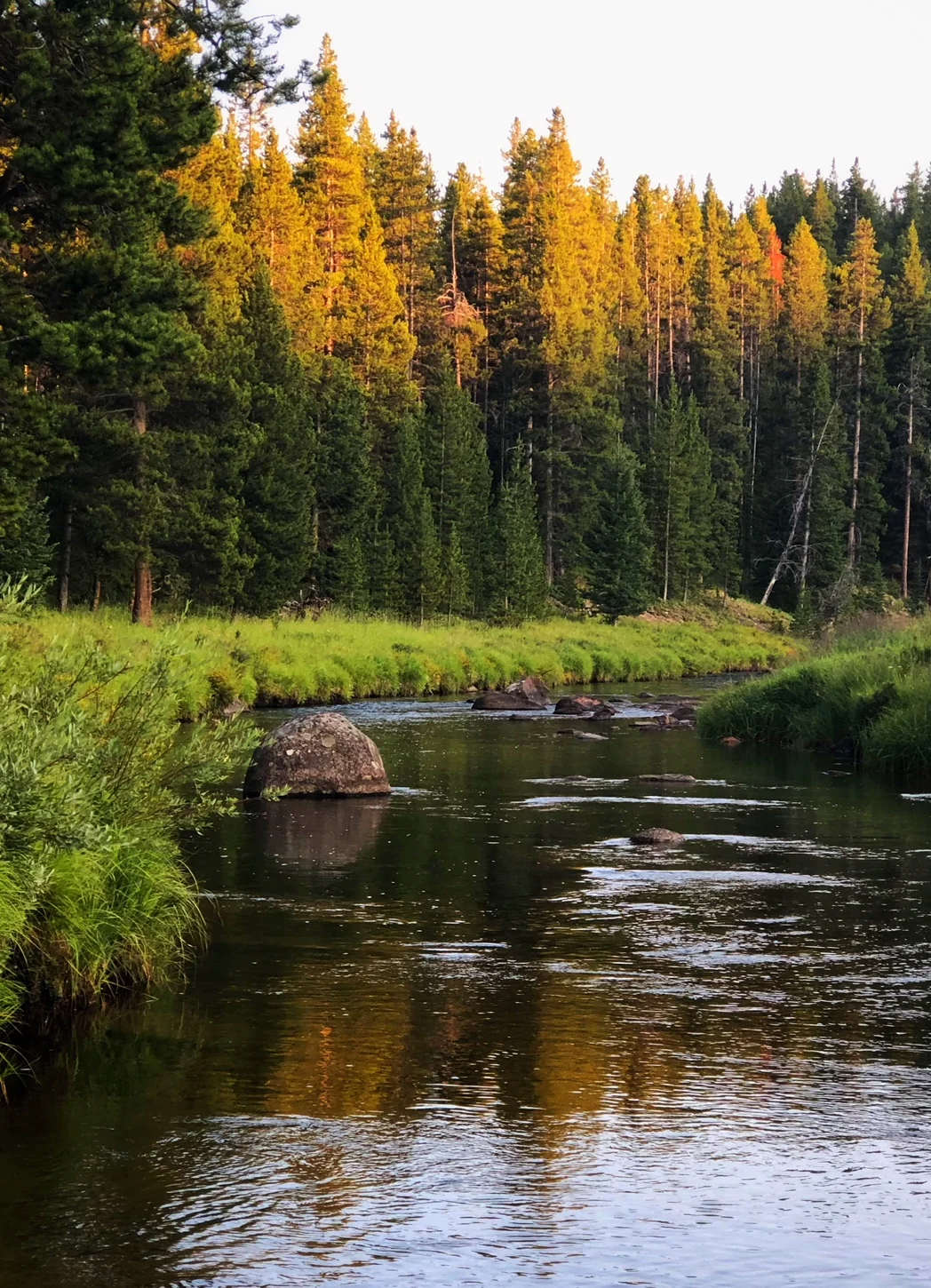 sunsetprunecreek.jpg