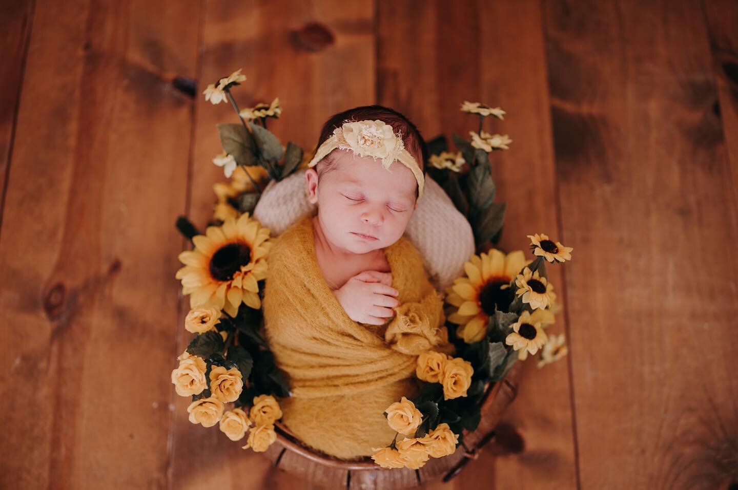 It&rsquo;s blooming season! 🌻🌼

#newbornphotography #newbornphotographer #newbbornphotoprops #newbornprops #newbornphotoshoot #sunflower #siouxfallsphotographer #siouxfallsnewbornphotographer