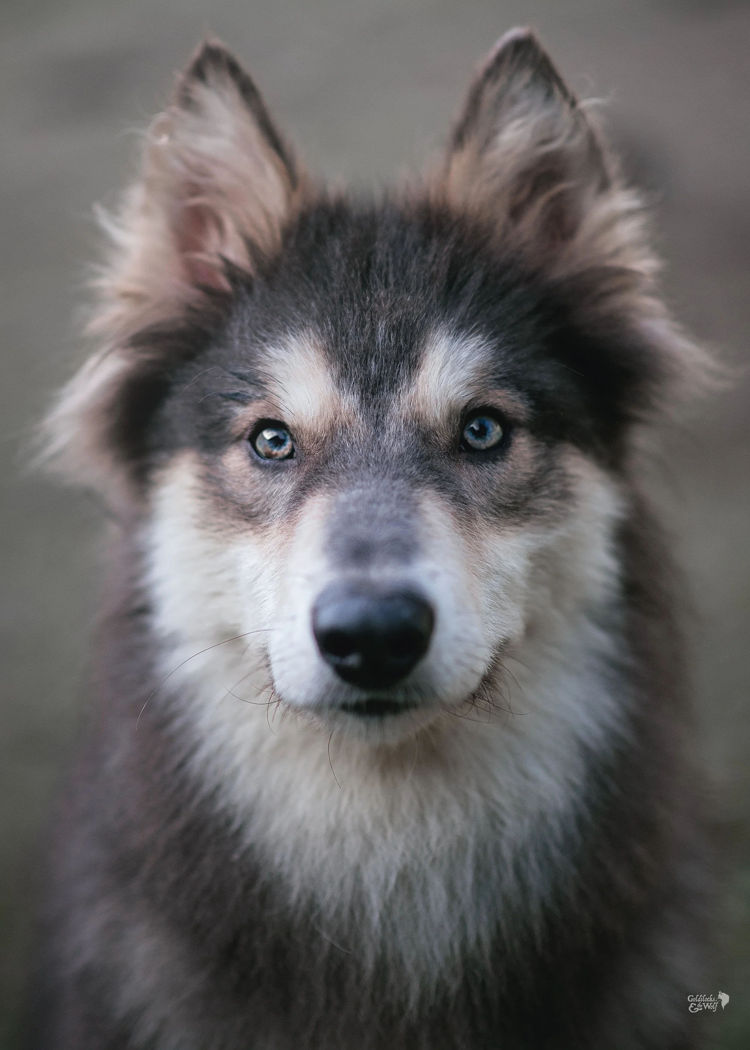 DSC_9228-Edit.jpg