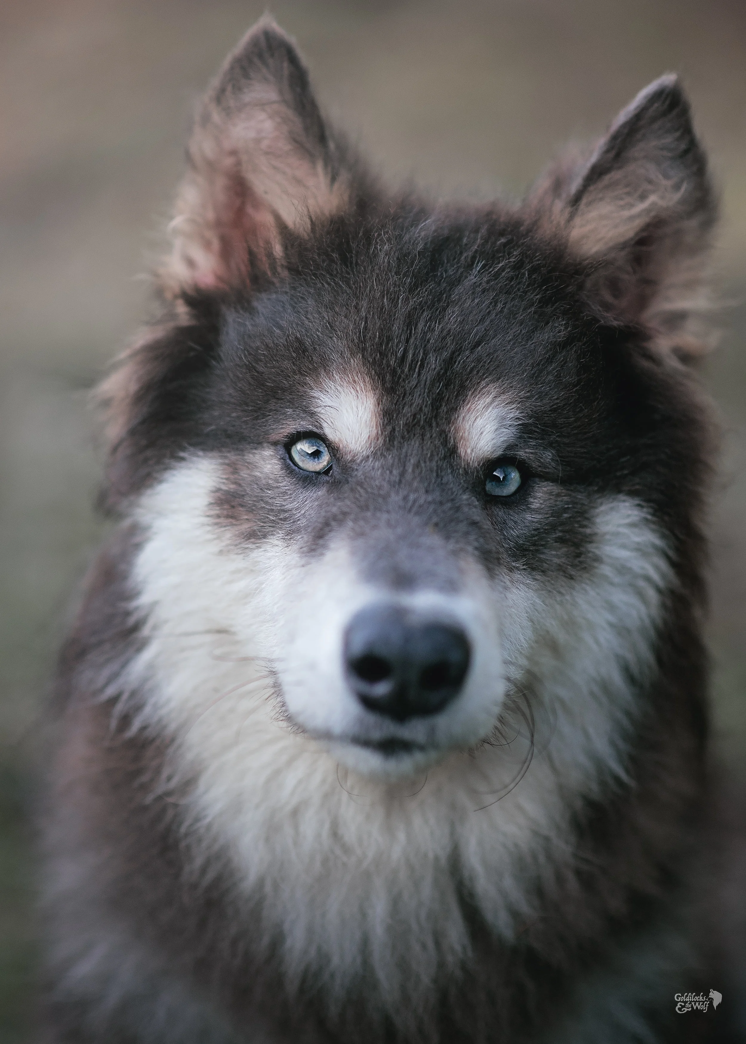 DSC_9234-Edit.jpg