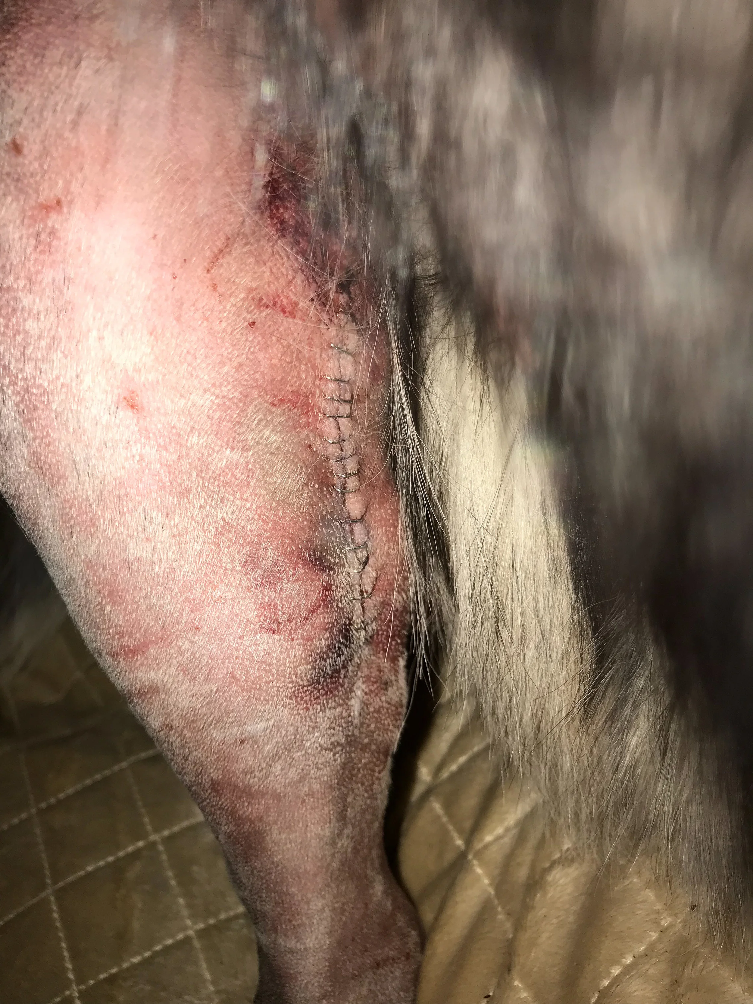 Surgery site
