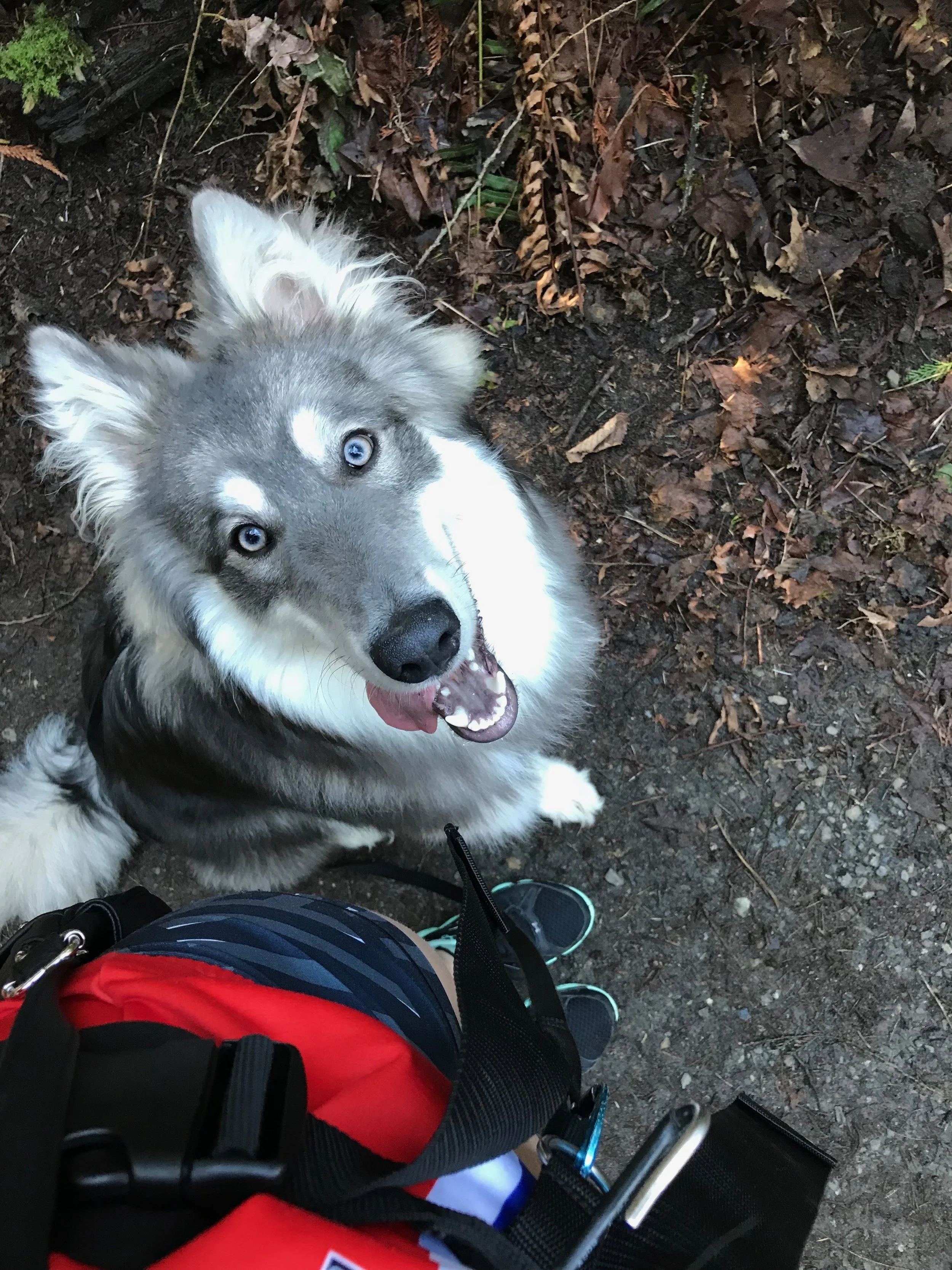 Exploring some trails with Dovahkiin