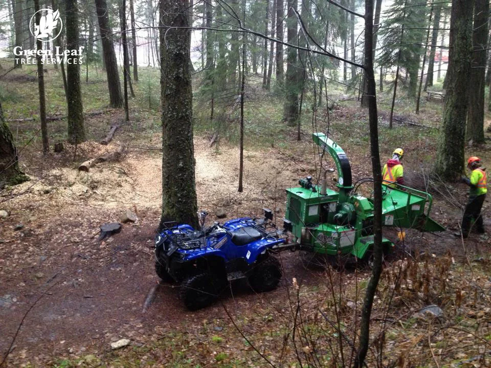 trail-building-maintenance.jpg