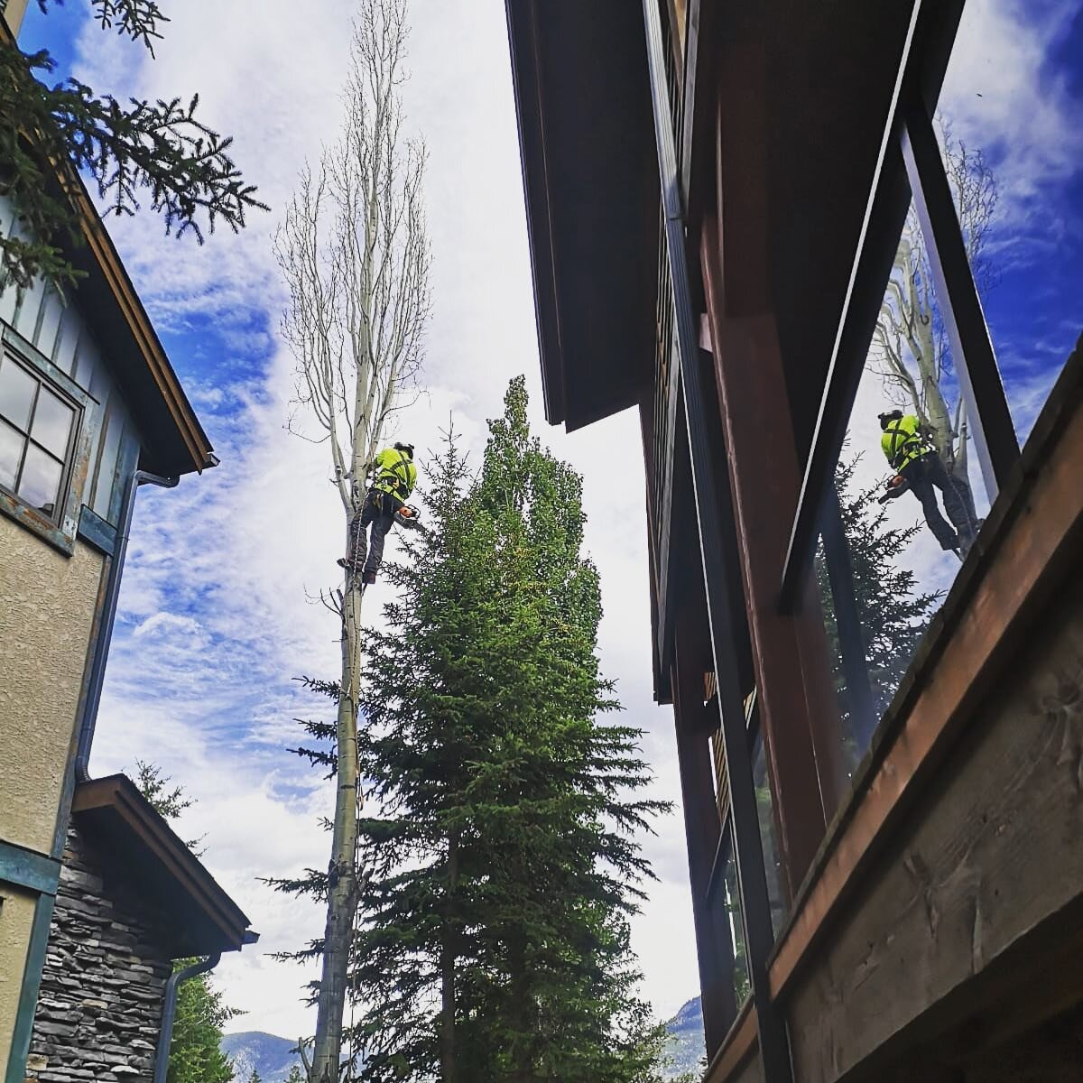 Happy Monday 😁 Time to get after it! 

Tree Care 🍃that is Swift, Safe and Sure. Family owned and operated-rooted in the Columbia Valley since 2007. Call for a free quote today- contact info in bio ⬆️ 

#greenleaftreeservices #columbiavalleytreeexpe