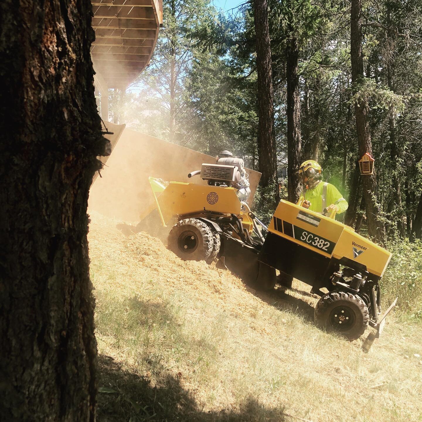 The Vermeer Sc382 is a mountain goat 🐐 of a stump grinder! A nimble 4x4 machine that&rsquo;ll go where other grinders won&rsquo;t. Do you have a pesky stump or worse a danger tree lingering in a challenging spot? Green Leaf has the right tools and r