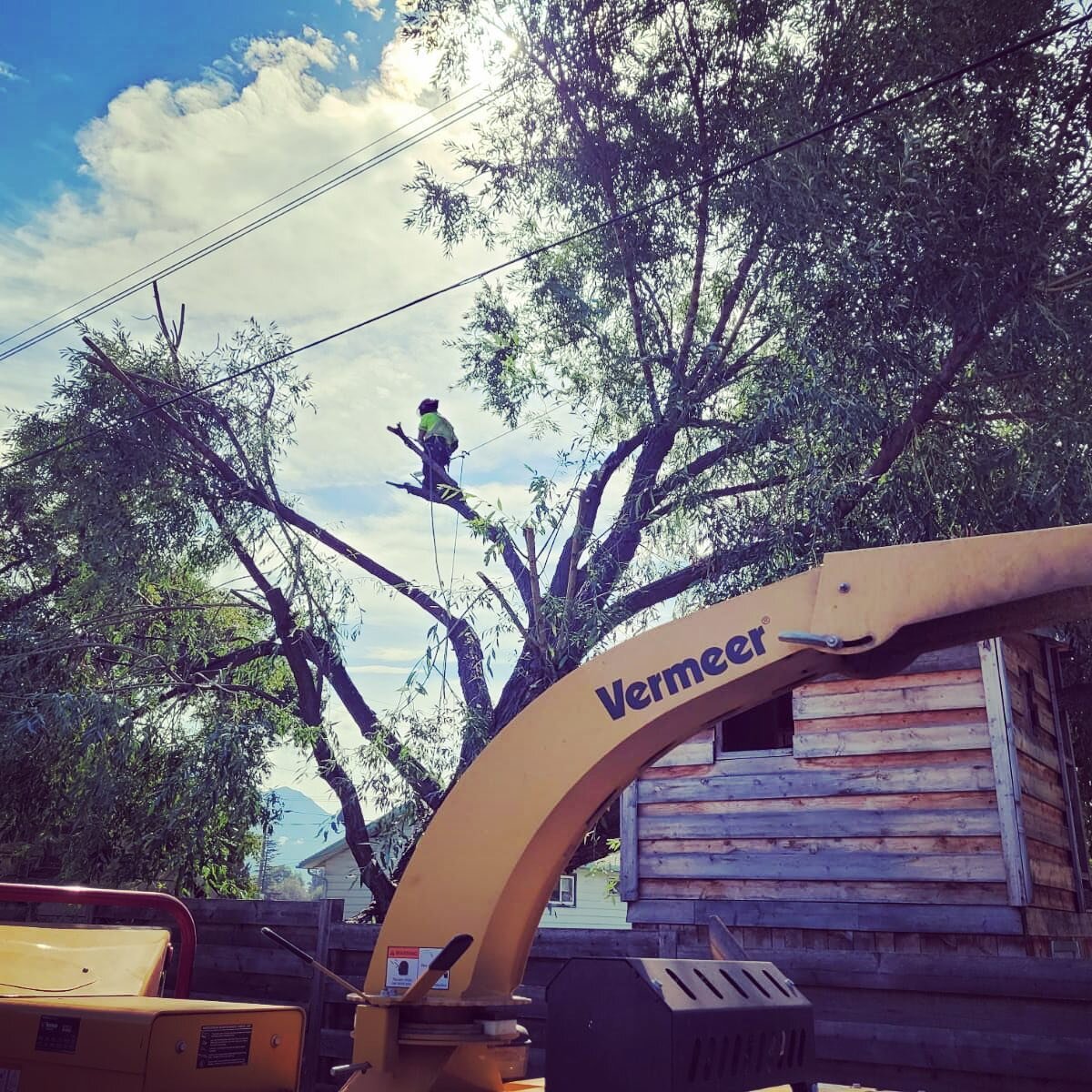 And just like that 💨 September is upon us! It&rsquo;s been in a long stretch of hot and dry weather this summer and the trees and our crews will most definitely appreciate some cool damp fall weather! 

With fall historically being our busiest time 