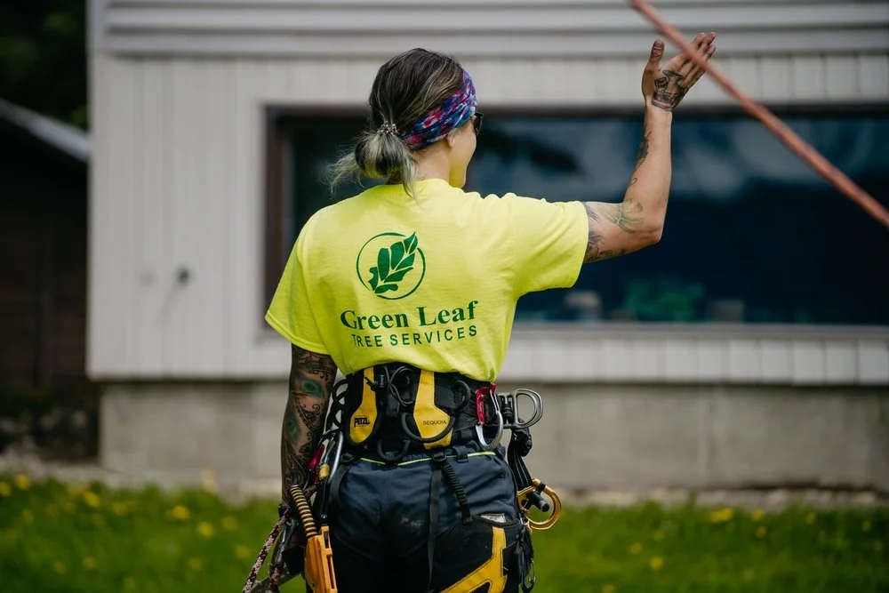 Pricing and Value with Green Leaf