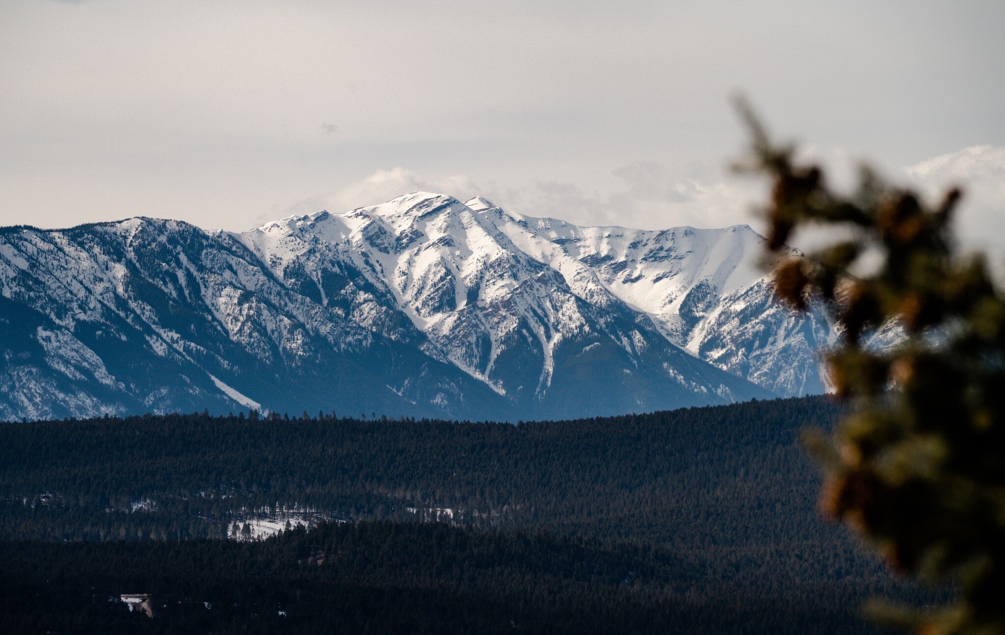 Views across the Columbia Valley in Radium Hot Springs. Our crews are busy on sites all along the valley.  We love looking out on our incredible landscape.

 #greenleaftreeservices #columbiavalleytreeexperts #invermeretreecare #columbiavalleybc #swif