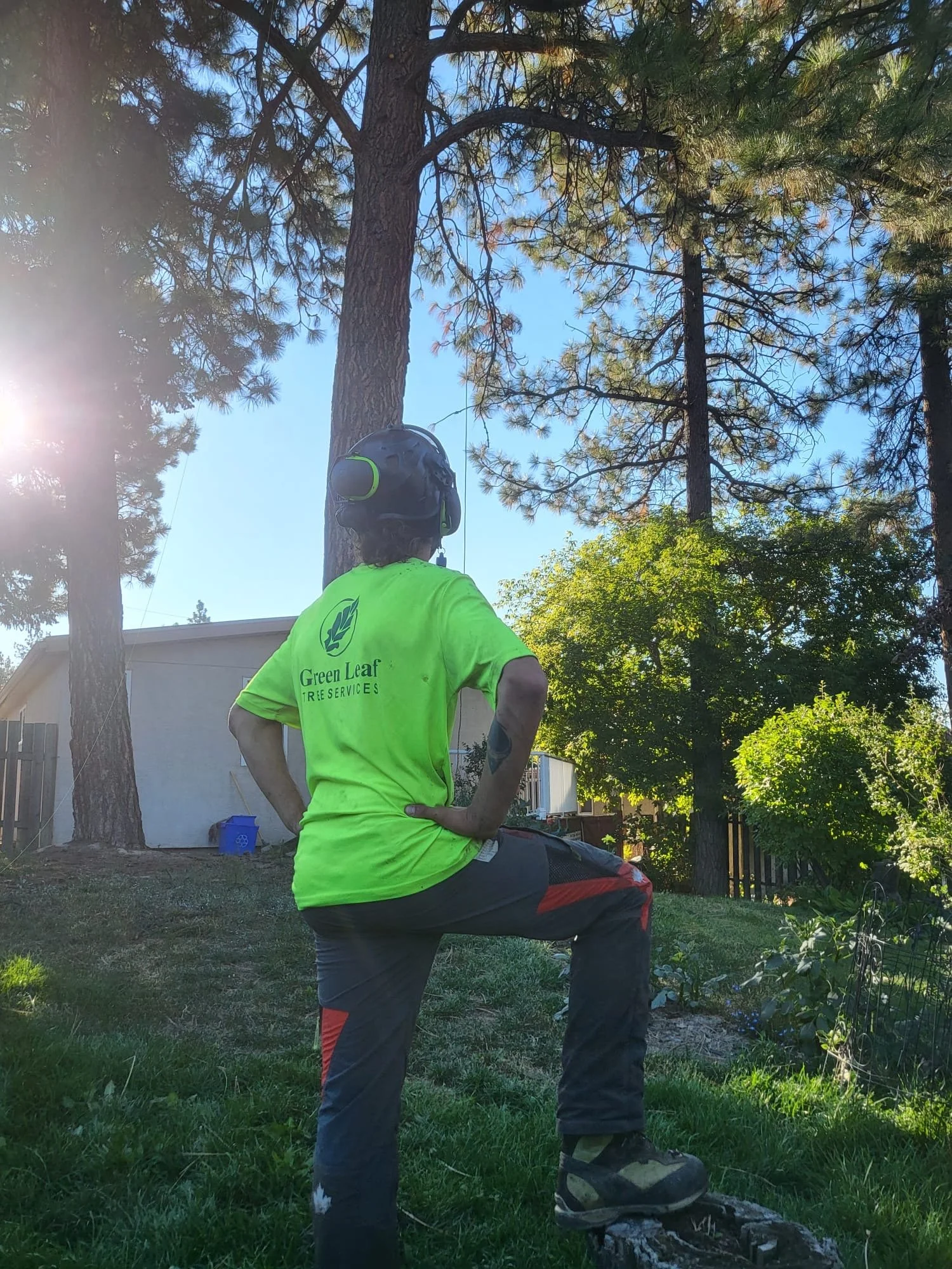 Green Leaf Tree Services is Branching out to Serve Kimberley and Cranbrook BC