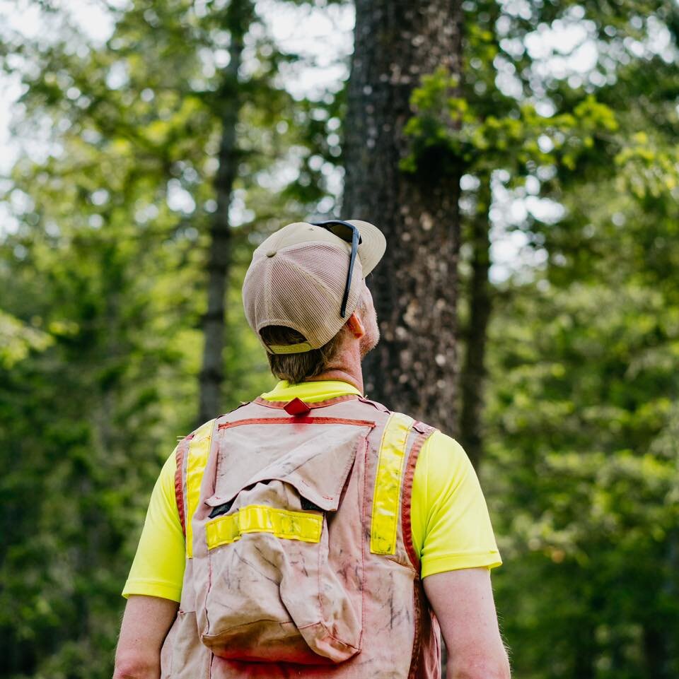 Forest Health 101: Act now to safeguard against Douglas fir bark beetle infestation. Scout for signs before May flights occur&mdash;watch for bore holes, excessive sap flow, sawdust-frass accumulation, and stressed foliage. Vigilance today helps prot