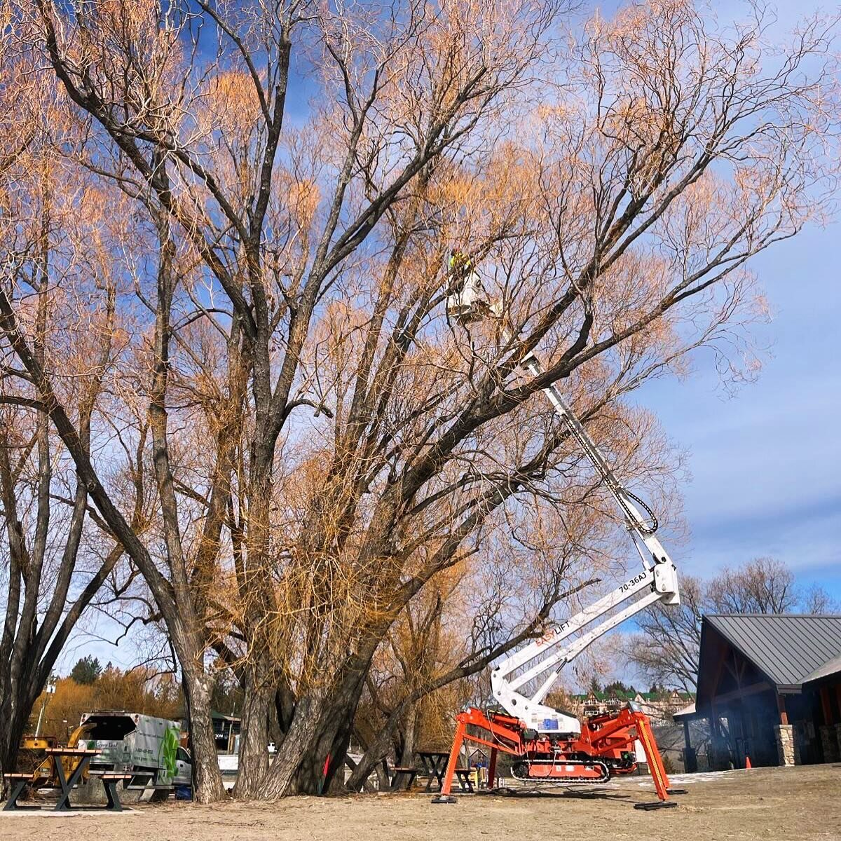 The spider lift stretching its legs with some safety pruning at Kinsmen Beach last week! Removing potential hazards to help ensure worry free beach time to come.