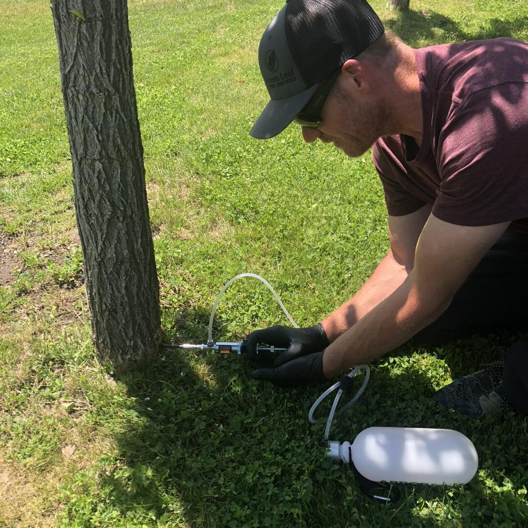 Protect your trees with ArborJet trunk injections! 🌳 Say goodbye to pesky insects threatening your green friends like elm leaf beetles, scales, and aphids. 💉 Our direct, effective, and environmentally friendly approach ensures your trees stay healt