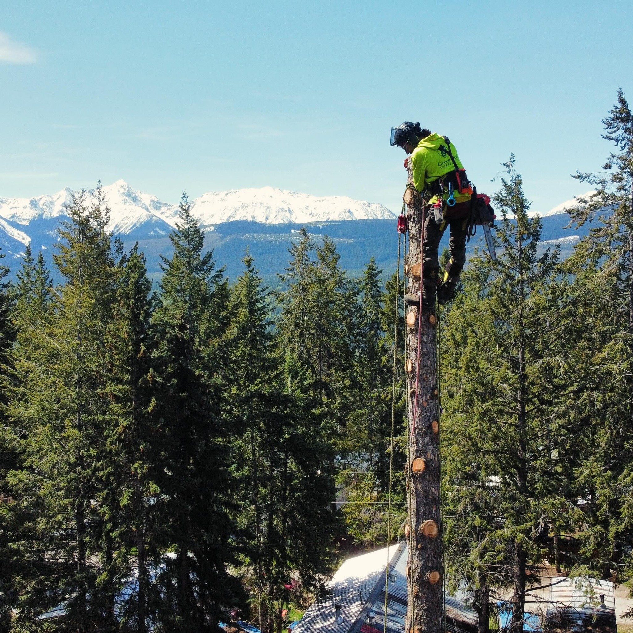 Today was one of those beauty spring days that every western Canadian arborist will light up the internet with stunning views from the canopies! 🌲🔝So here we are with one from our office 😉 in Golden BC! Crew leader, Josh Fischbuch, skillfully tack