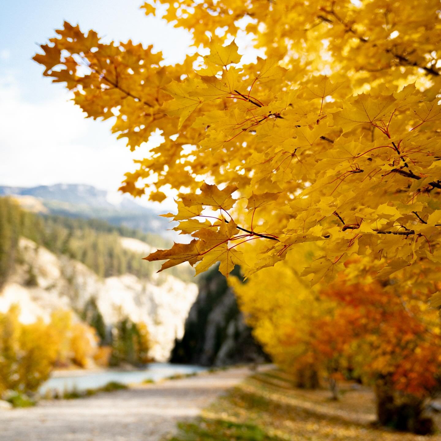 Grateful for the beauty of fall&mdash;the vibrant colors, crisp air, and the peacefulness it brings. 🍁 This season reminds us to appreciate the trees, the communities we serve, and the opportunity to care for nature. Happy Autumn from your friendly 