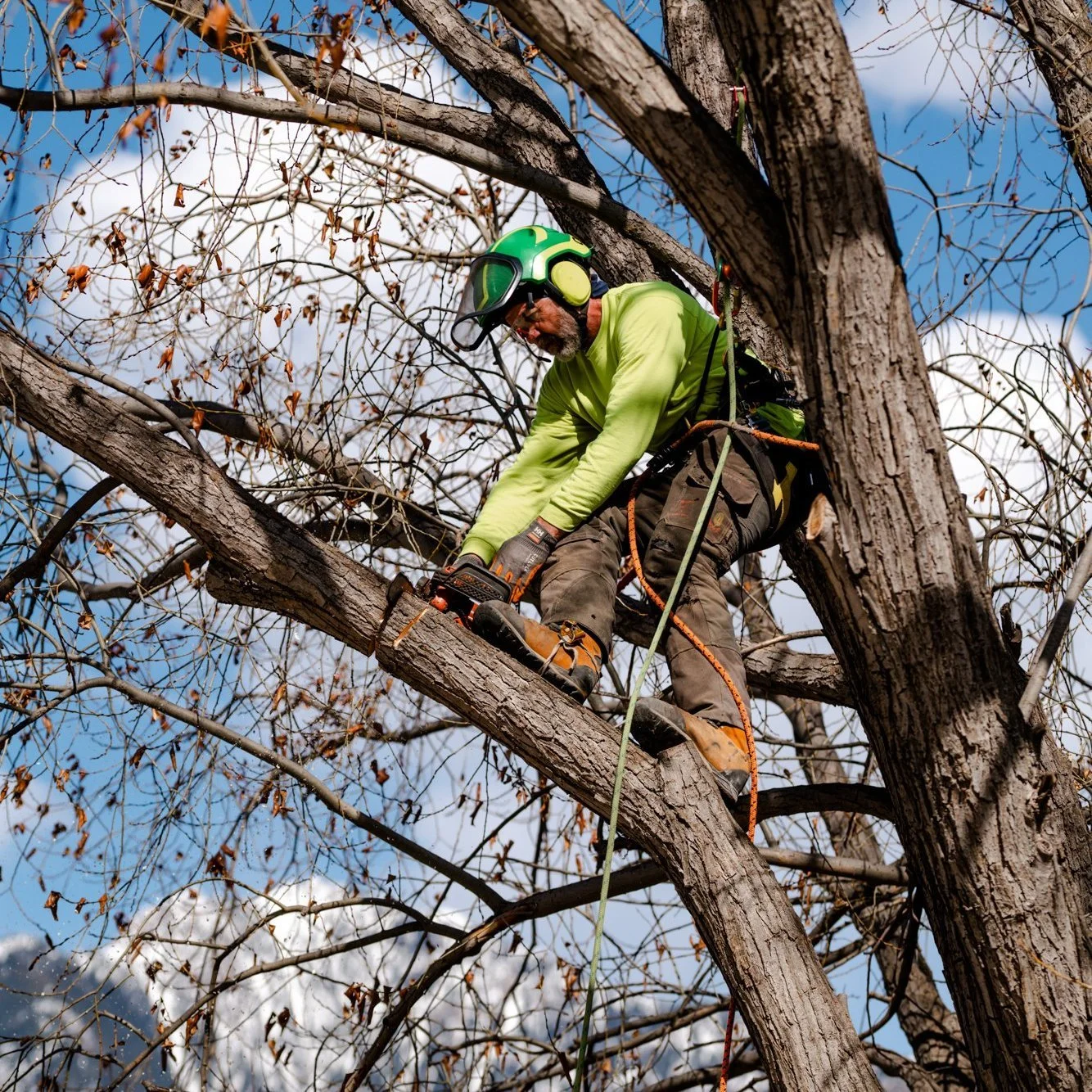 🍂 Time for Dormant Pruning! 🍂

Winter is a great time to prune trees for better structure and spring growth! 🌳

Trust our ISA Certified Arborists at Green Leaf Tree Services for expert care and a healthier future for your trees.

📞 1-888-431-8733
