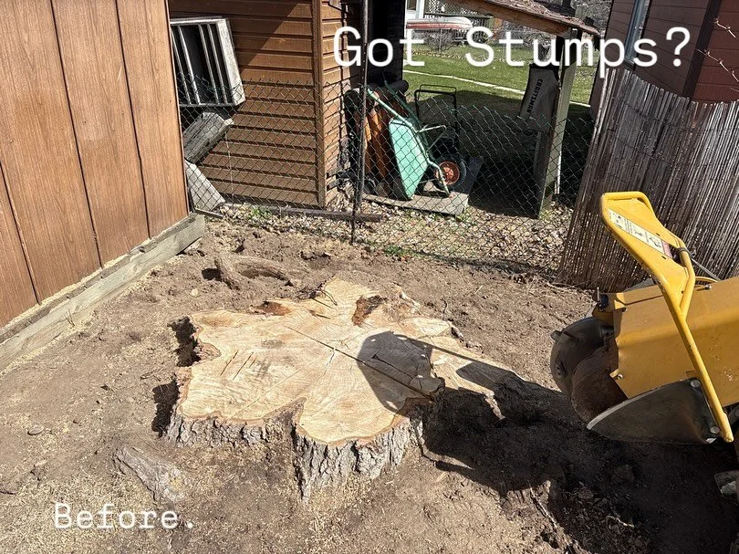 Got Stumps? 🌳 Get them deleted before winter sets in!
Our crews are out blitzing projects across the Valley &mdash; assessing properties, pruning, removing hazard trees, and grinding stumps before Old Man Winter descends.

Don&rsquo;t wait until spr