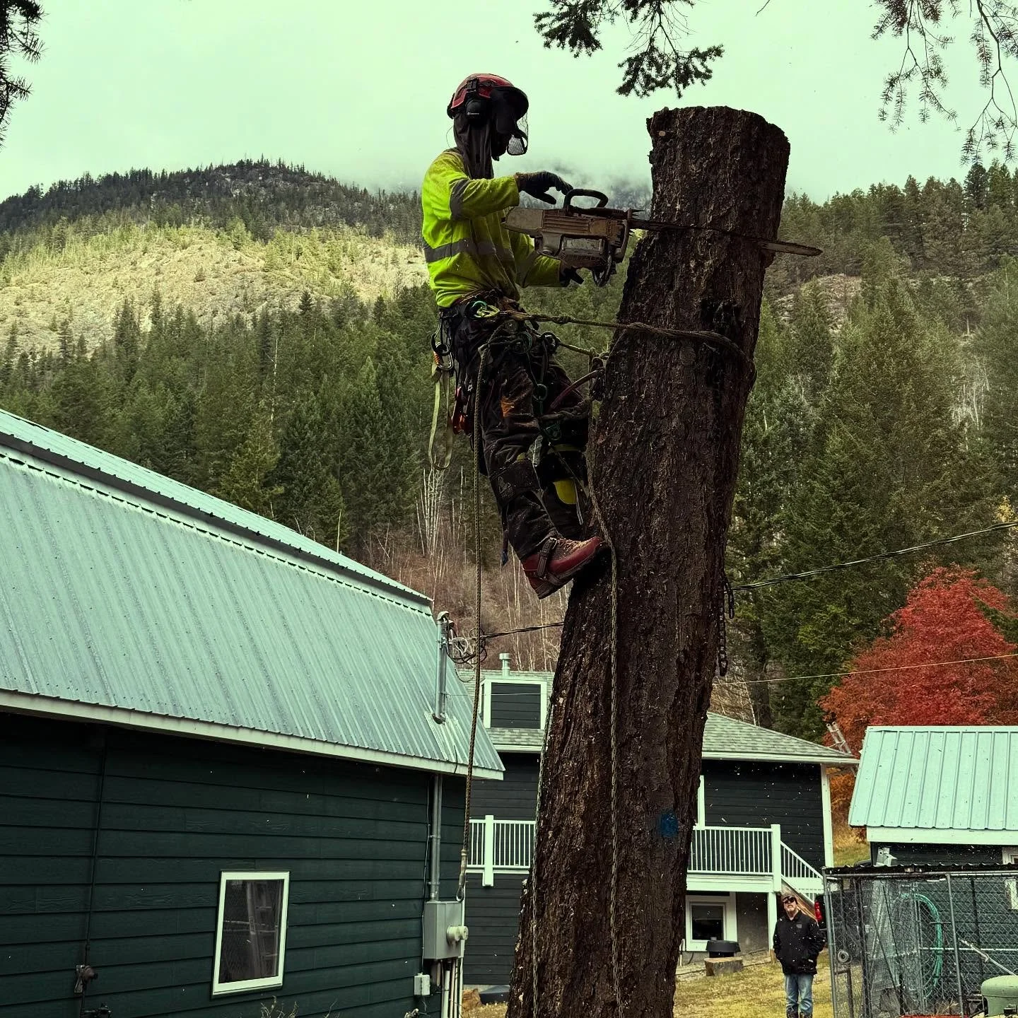 🍂 Fall&rsquo;s fading fast&hellip;
Snow&rsquo;s creeping down the mountains ❄️
but our crews are still going strong &mdash; on a mission to keep raising the standard of professional tree care across the region. 🌲

Swift. Safe. Sure. ⚡️
Rooted in th