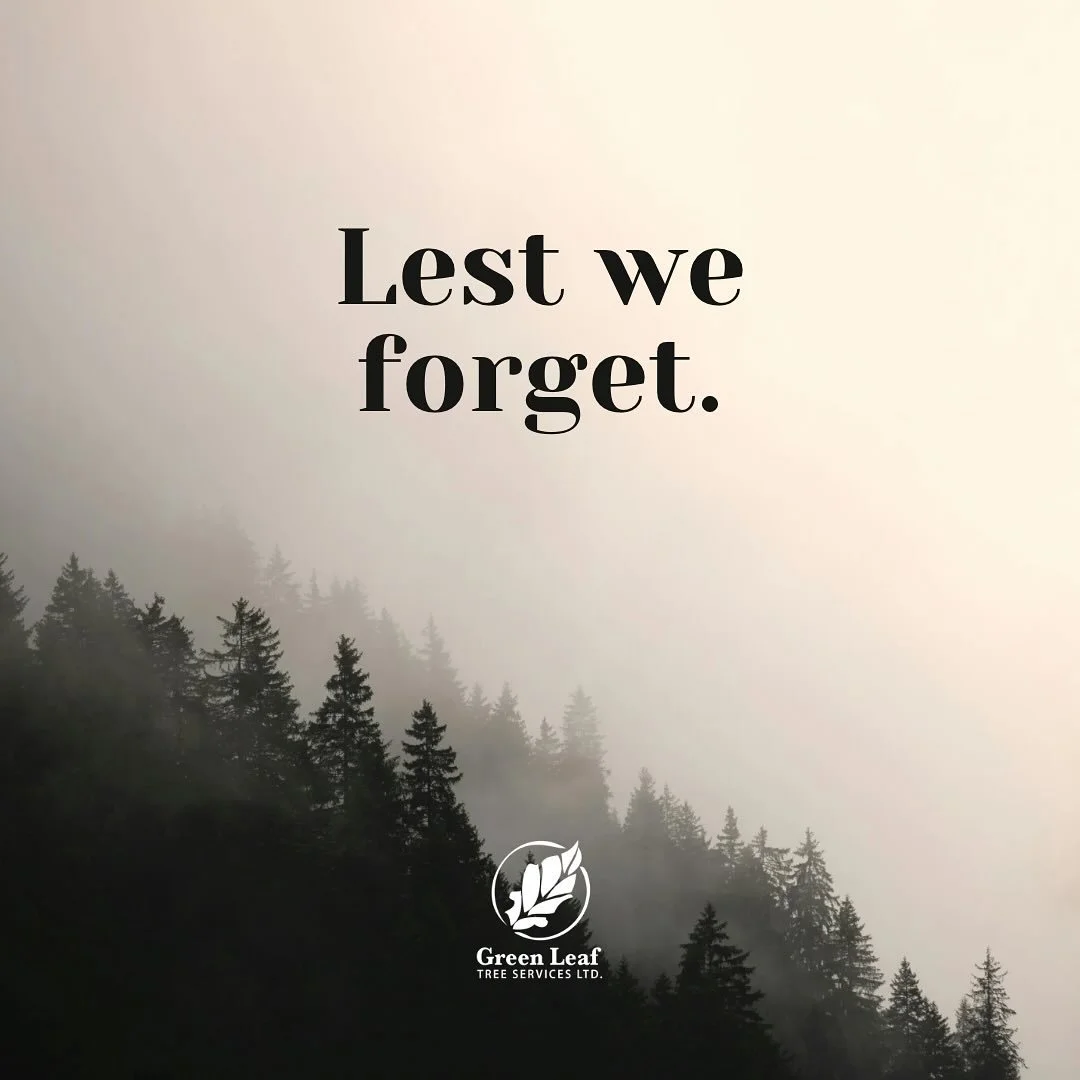 We remember. We honour. We&rsquo;re grateful. 🌺
Lest we forget. 🇨🇦